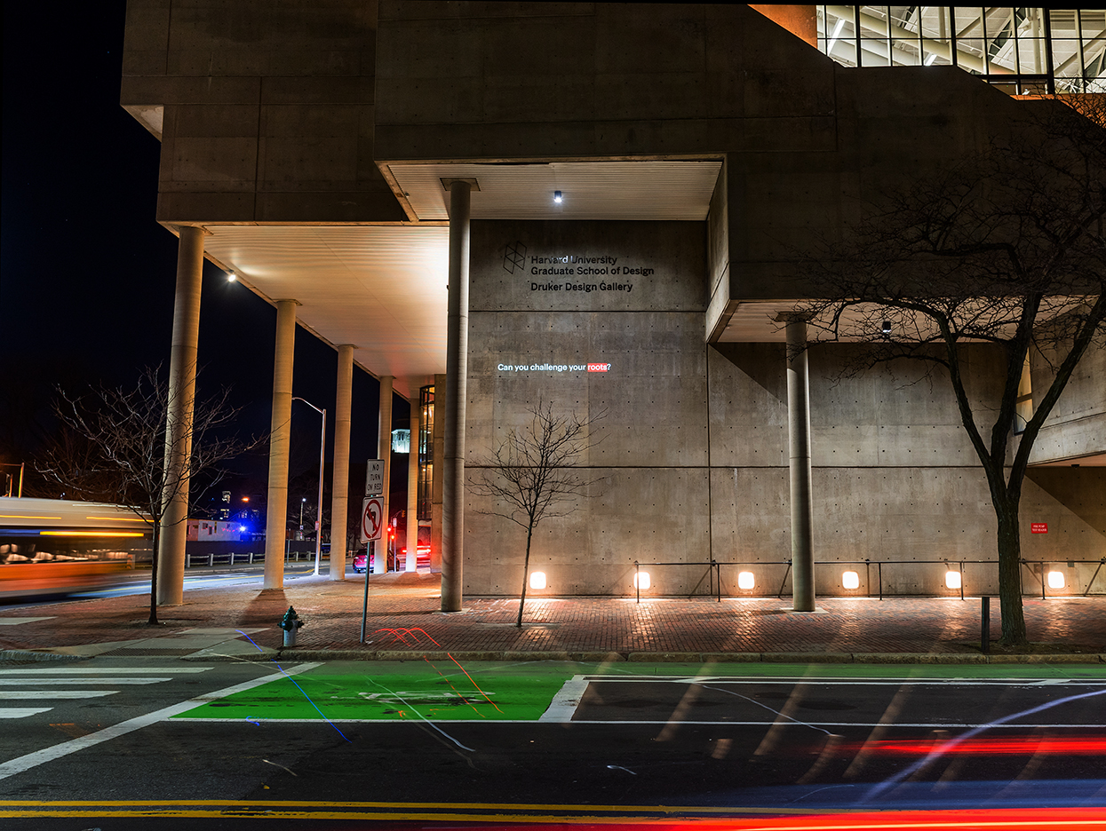 The Cambridge Street facade of Gund Hall at night, with the words, “Can you challenge your roots?” projected on the wall.