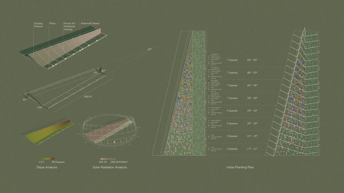 Diagram showing the geometric analysis and planting palette.