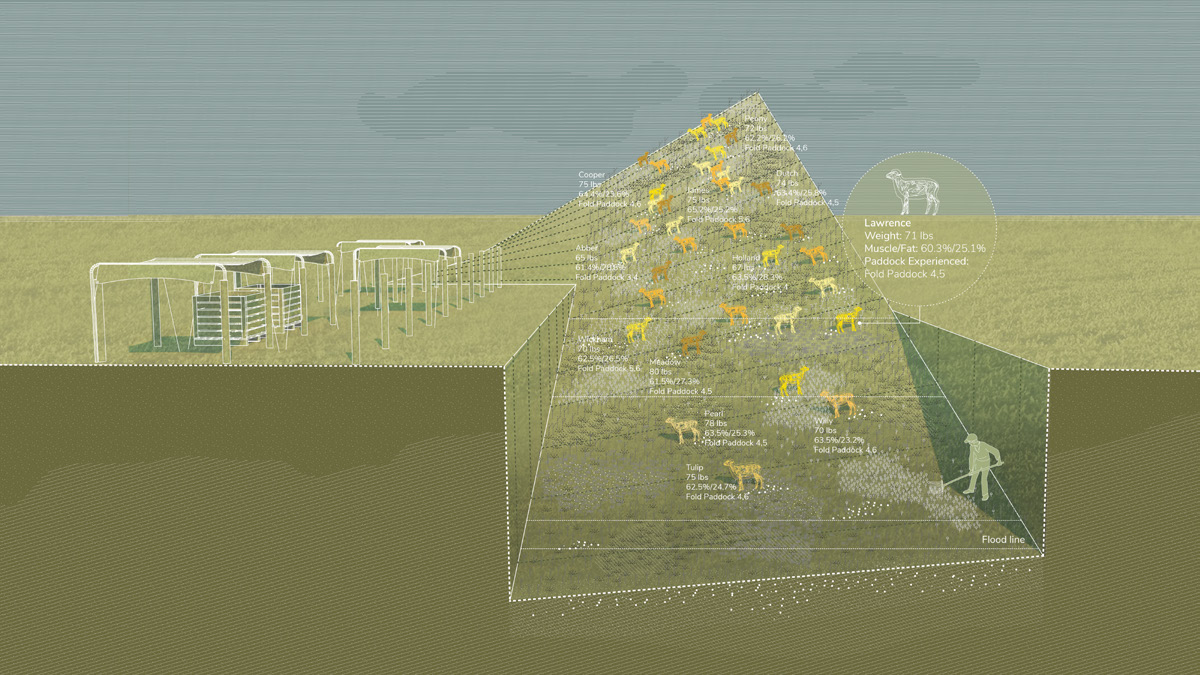 Diagram showing the sheep in "the Fold" with the different slopes