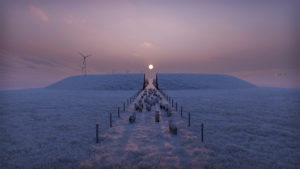 Perspective at sunset of sheep moving towards "the Enclosed" winter pasture.