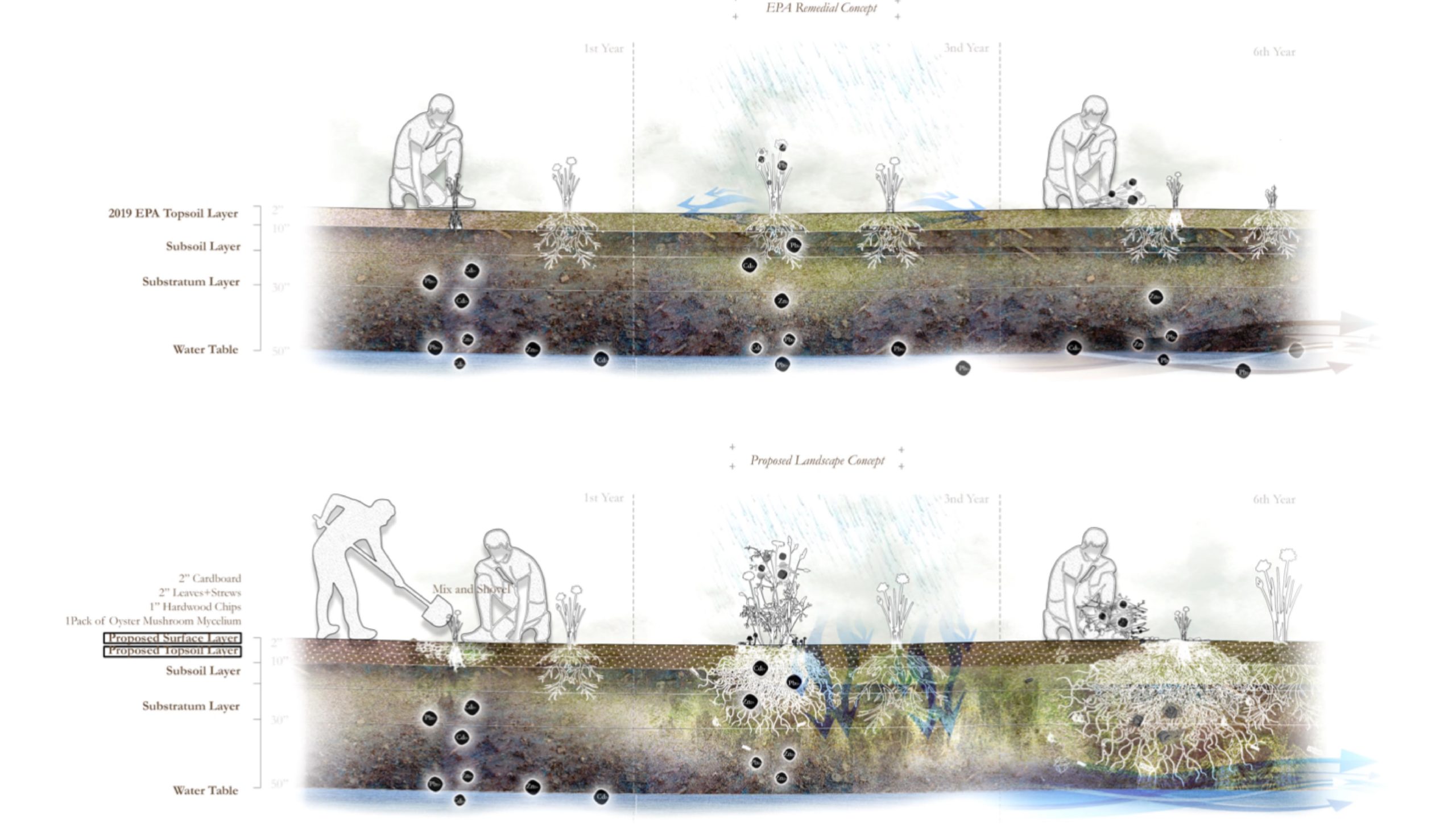 Section through the ground by Hao Holly Wang for the Option Studio Tar Creek Remade