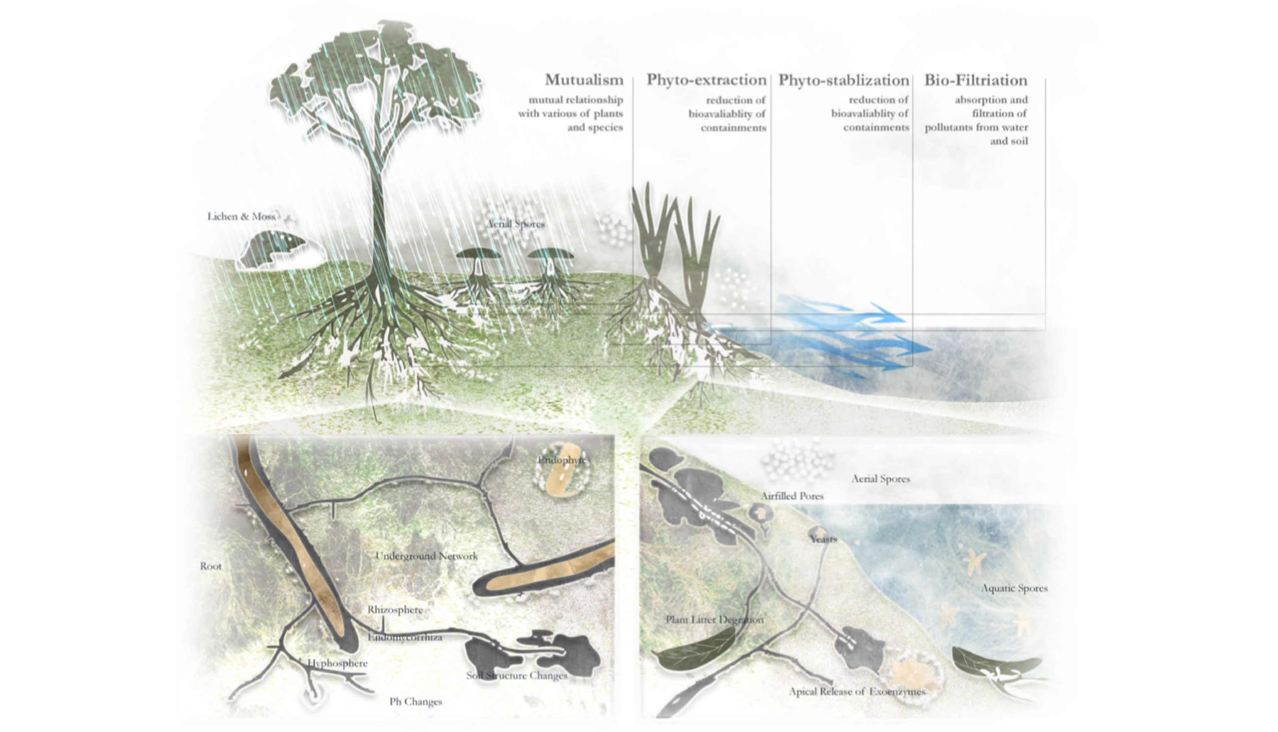 Diagrams by Hao Holly Wang for the Option Studio Tar Creek Remade