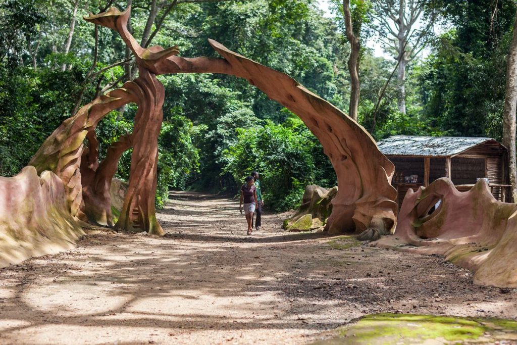 People walking through an archway created by a tree.