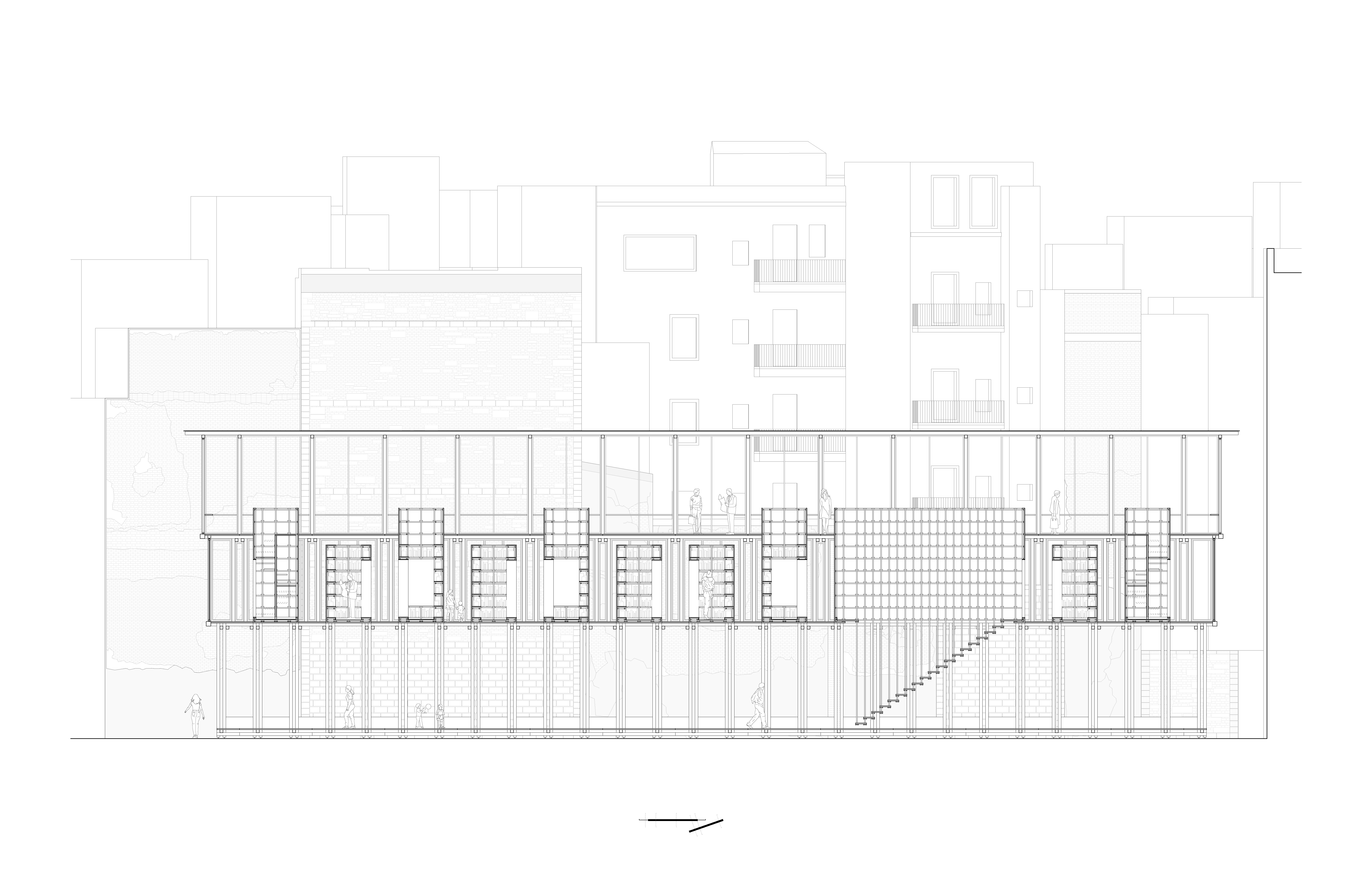 Longitudinal section cut.