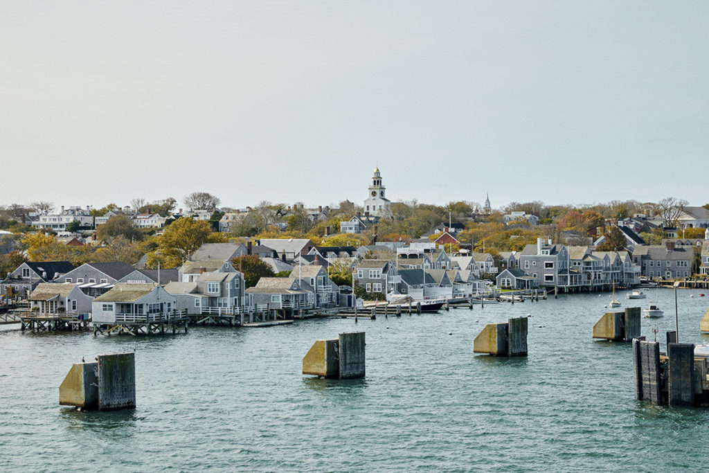 Town with single family houses in front of water