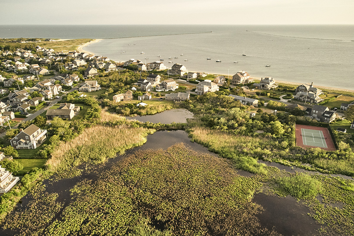 Town with lots of vegetation in front of the ocean