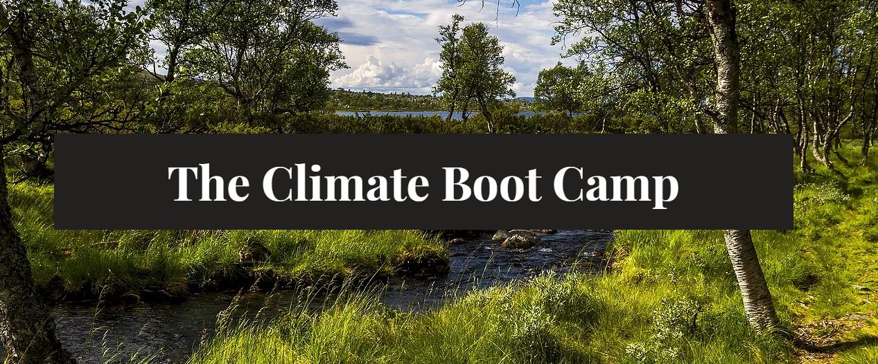 Image of stream in forest