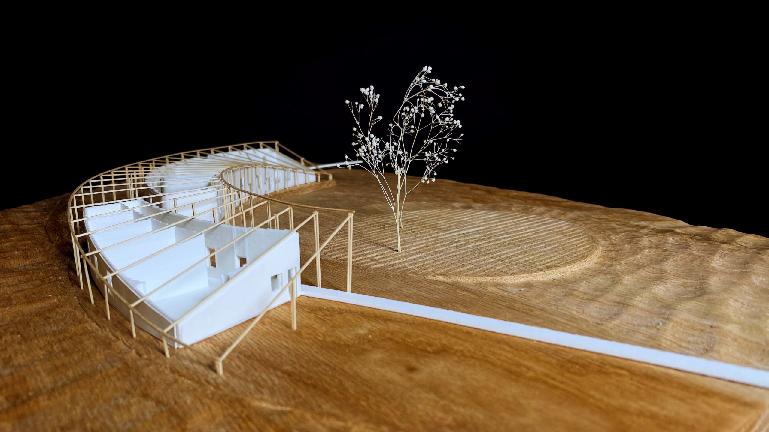Model of elevated walkway and tree.