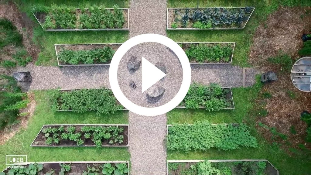 Aerial photograph of a garden with a stone sculpture where four path meet. A white play button is in the middle.