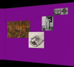 Collage of five images pinned on bright purple background