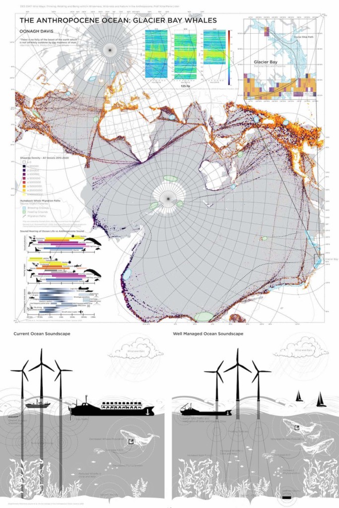 A series of maps, charts, and renderings reflecting data on glacier bay whales and various soundscapes.