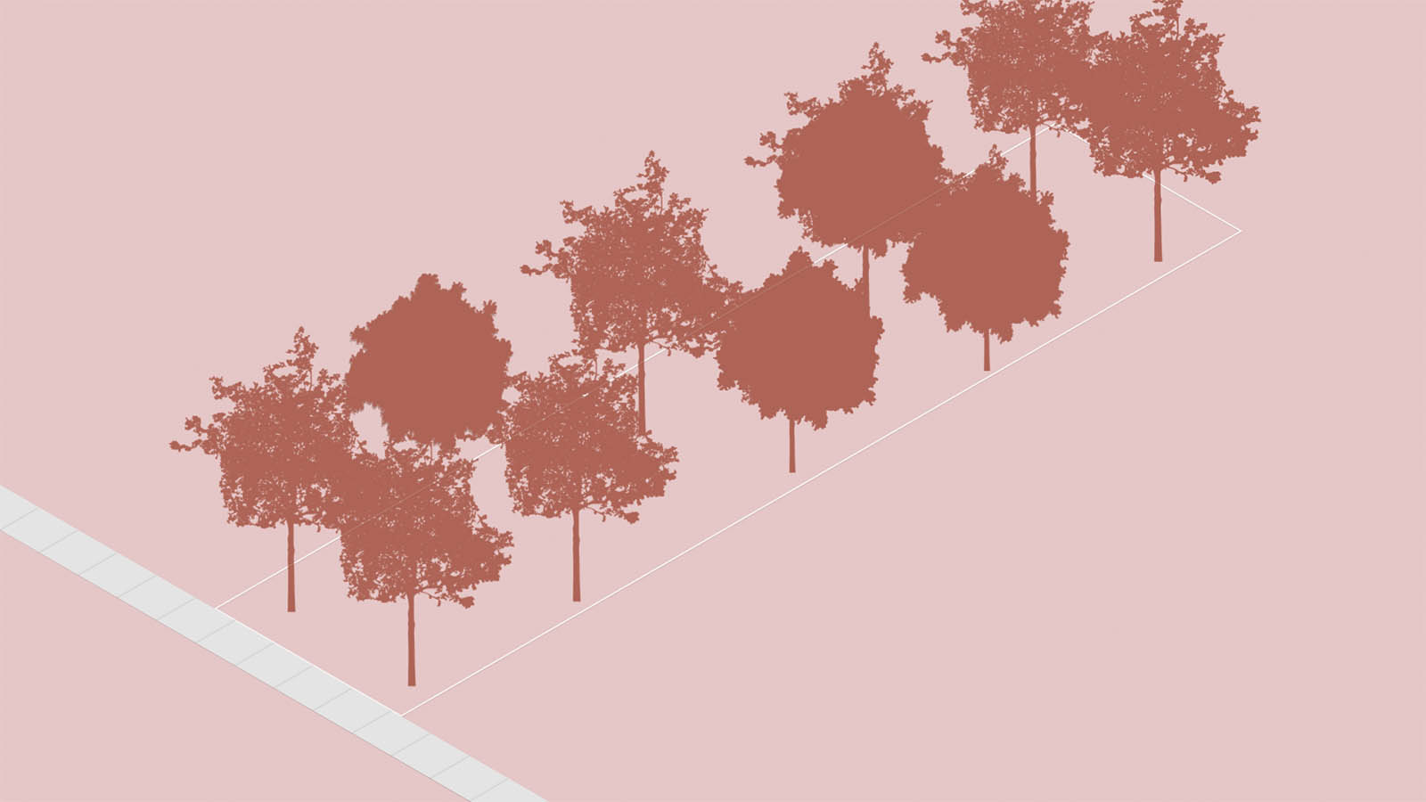 visualization of trees lined up in two rows