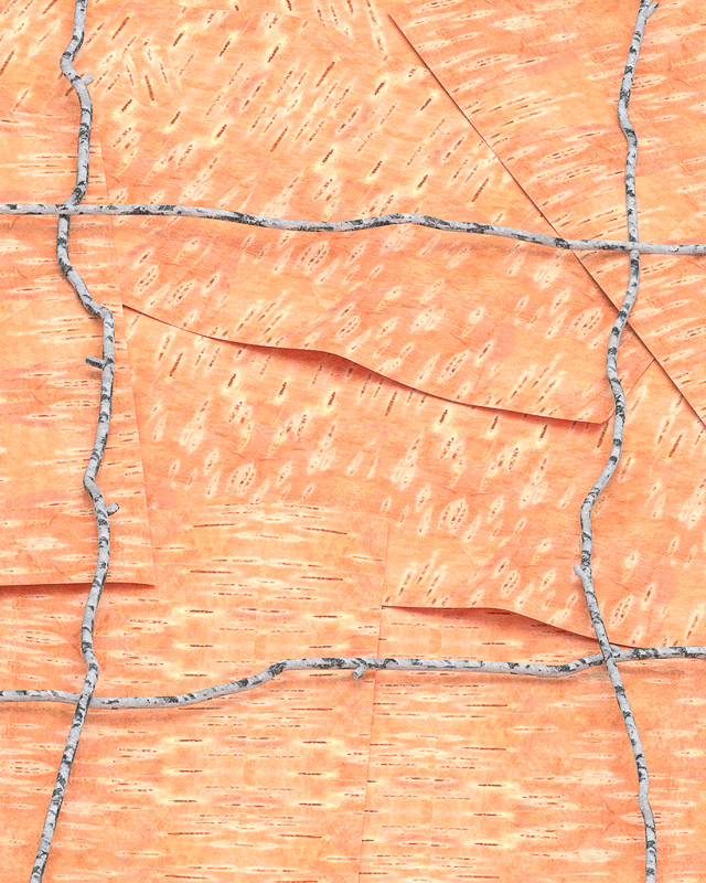 shavings of orange tree bark with a criss-cross of darker branches on top