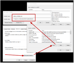 Create a new system environment variable with 1717@gsdlicense.university.harvard.edu as the value and SALT_LICENSE_SERVER