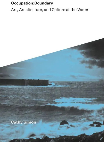 black, white, and blue book cover