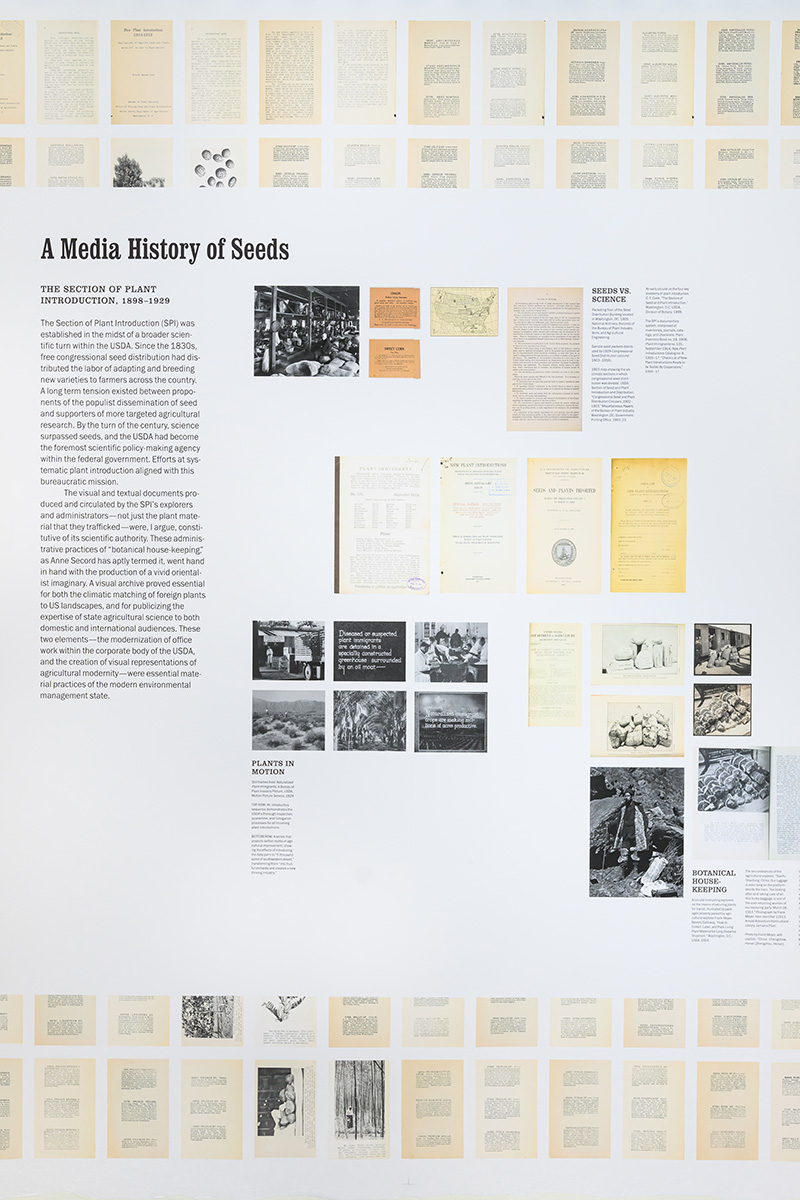 A detail of the wall mural showing images of pages from books and the subtitle “A Media History of Seeds”