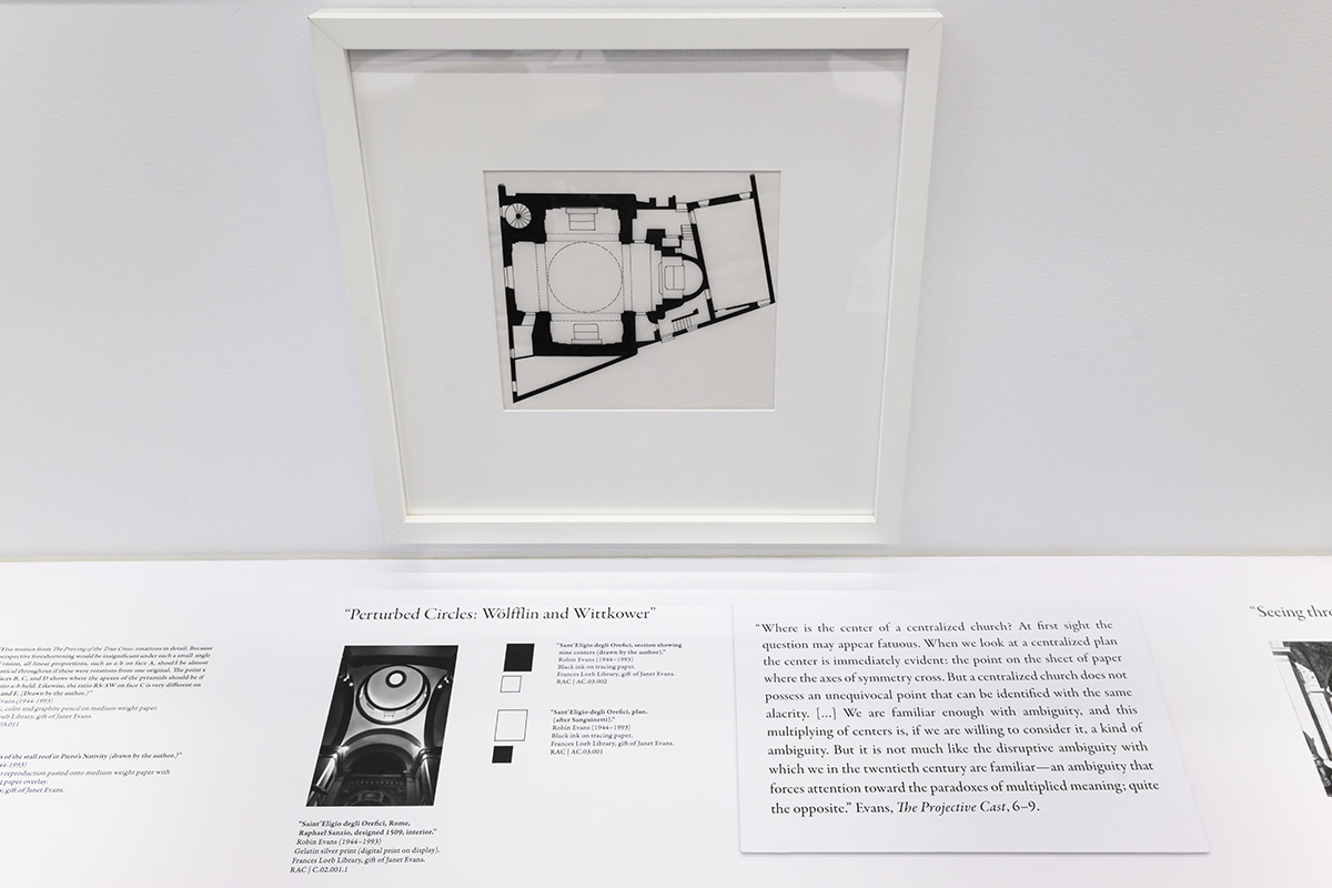 A framed architectural drawing above a shelf with an image and the title “Perturbed Circles: Wolfflin and Wittkower”