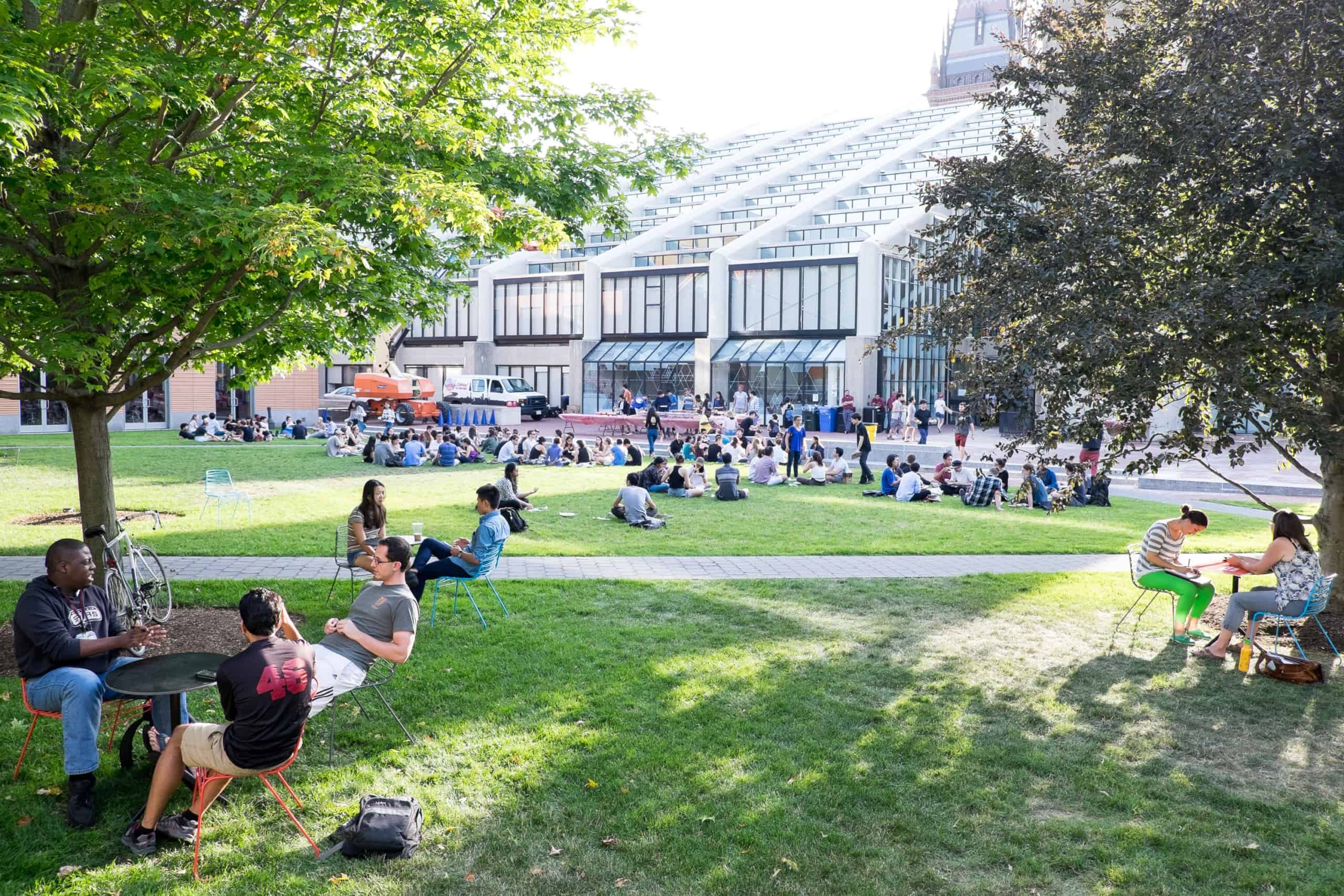 Students congregate in Gund Hall's backyard on a beautiful afternoon.