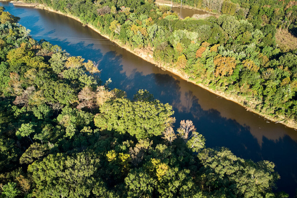 Aerial photo of a river surrounded by forest