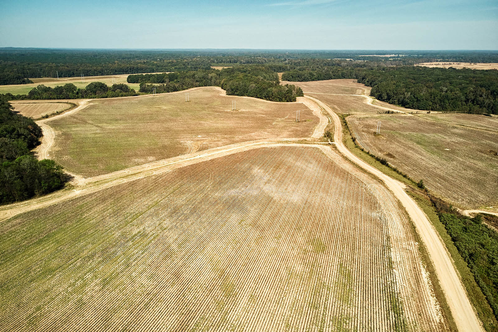 Aerial photo of a cotton field