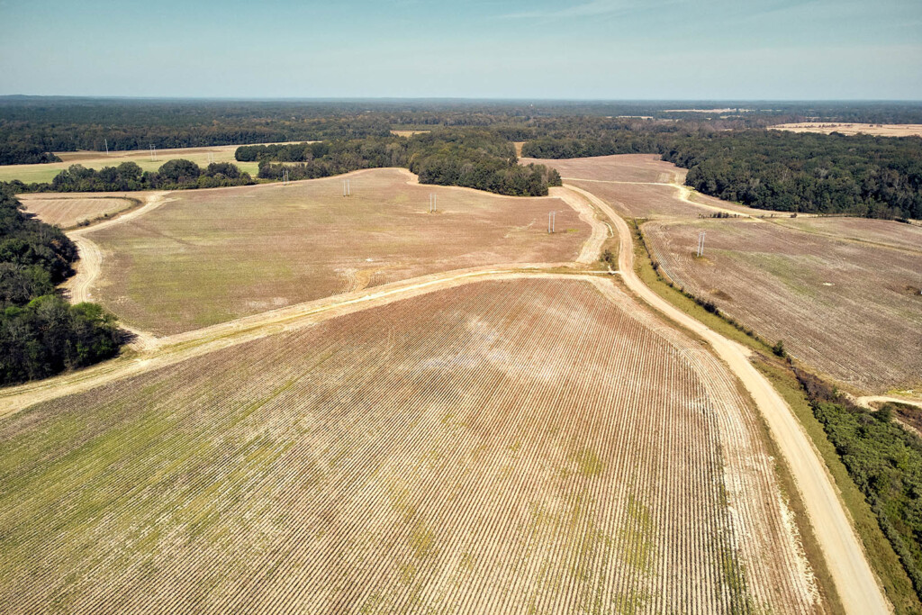 Aerial photo of a cotton field