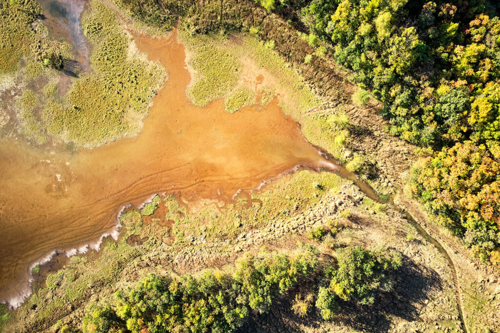 How farming in the Mississippi Delta can save America's food supply chain -  WTOP News