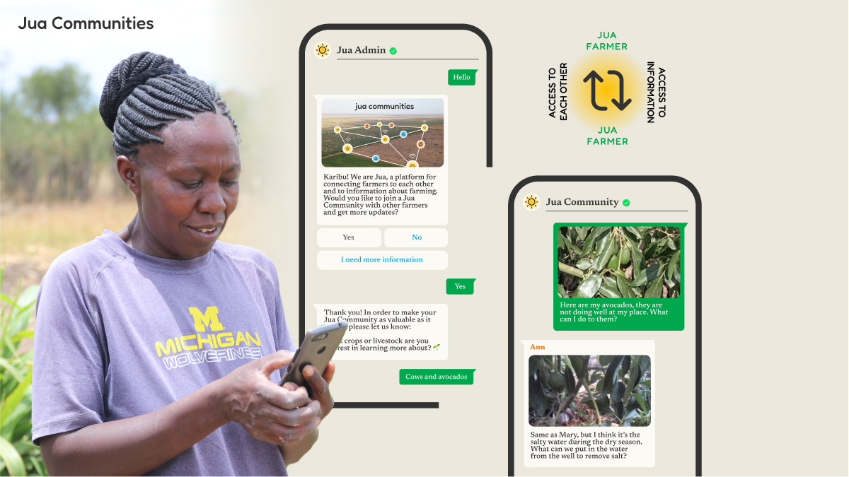 A Kenyan farmer using a smartphone next to phone mockups of farmer conversations with the Jua admin account and with other farmers in their Jua Community.