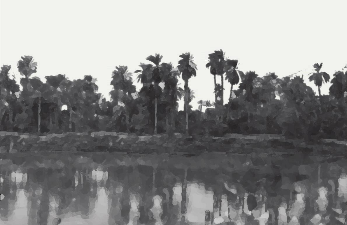 A black and white photo of a river with palm trees on the bank