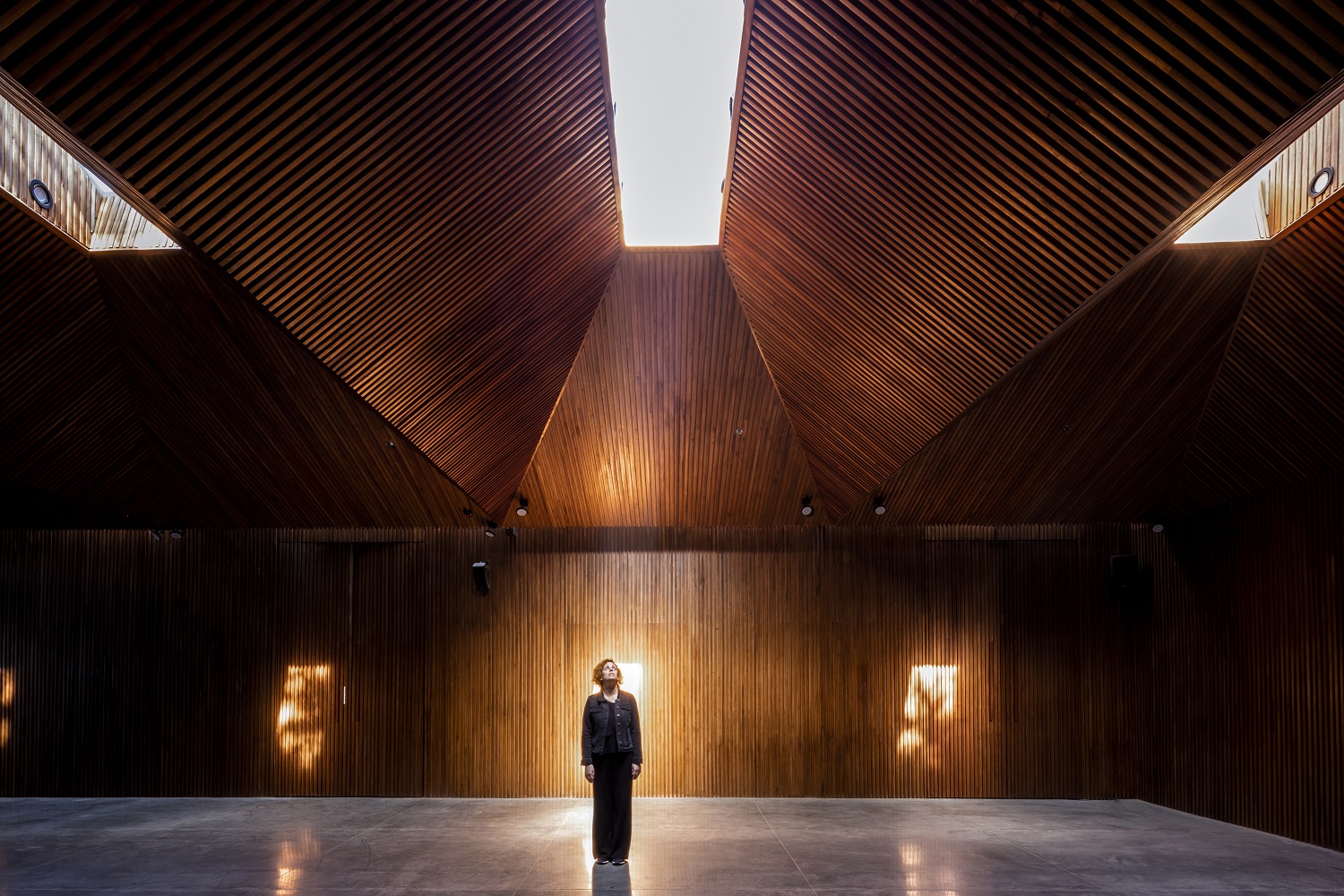 A woman stands below a skylight as light pours in