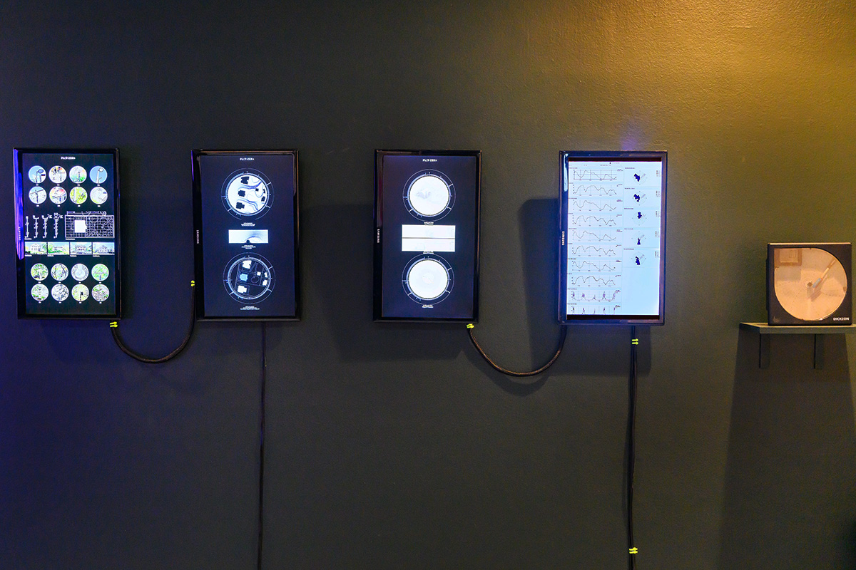 Multiple LCD screens displaying a variety of diagrams and data on the wall inside Druker Design gallery.