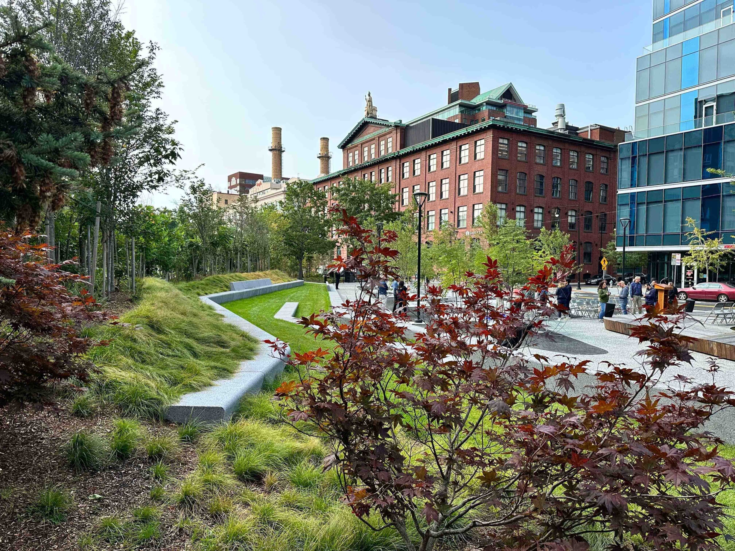 Urban Forest Master Plan - City of Cambridge, MA