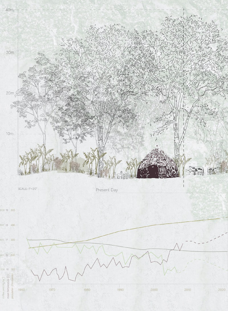 Illustration of hut with trees and grassland and graphs below.