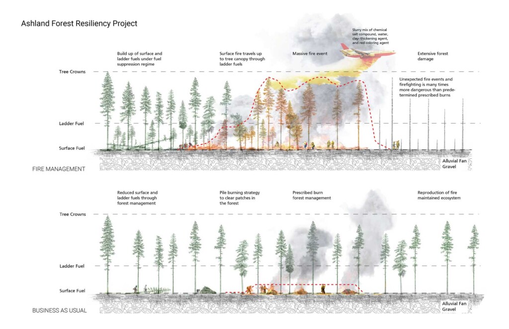 An annotated diagram contrasting different approaches to managing fires in forests.