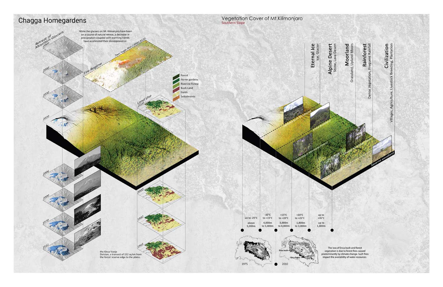 An illustration of the landscape and vegetation cover of Mount Kilimanjaro.