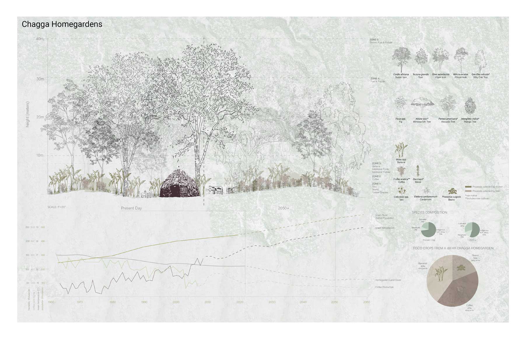 An annotated illustration of a small dwelling in a forest with various trees, grasses, and other plants identified. Charts show data about the prevalance of various species.