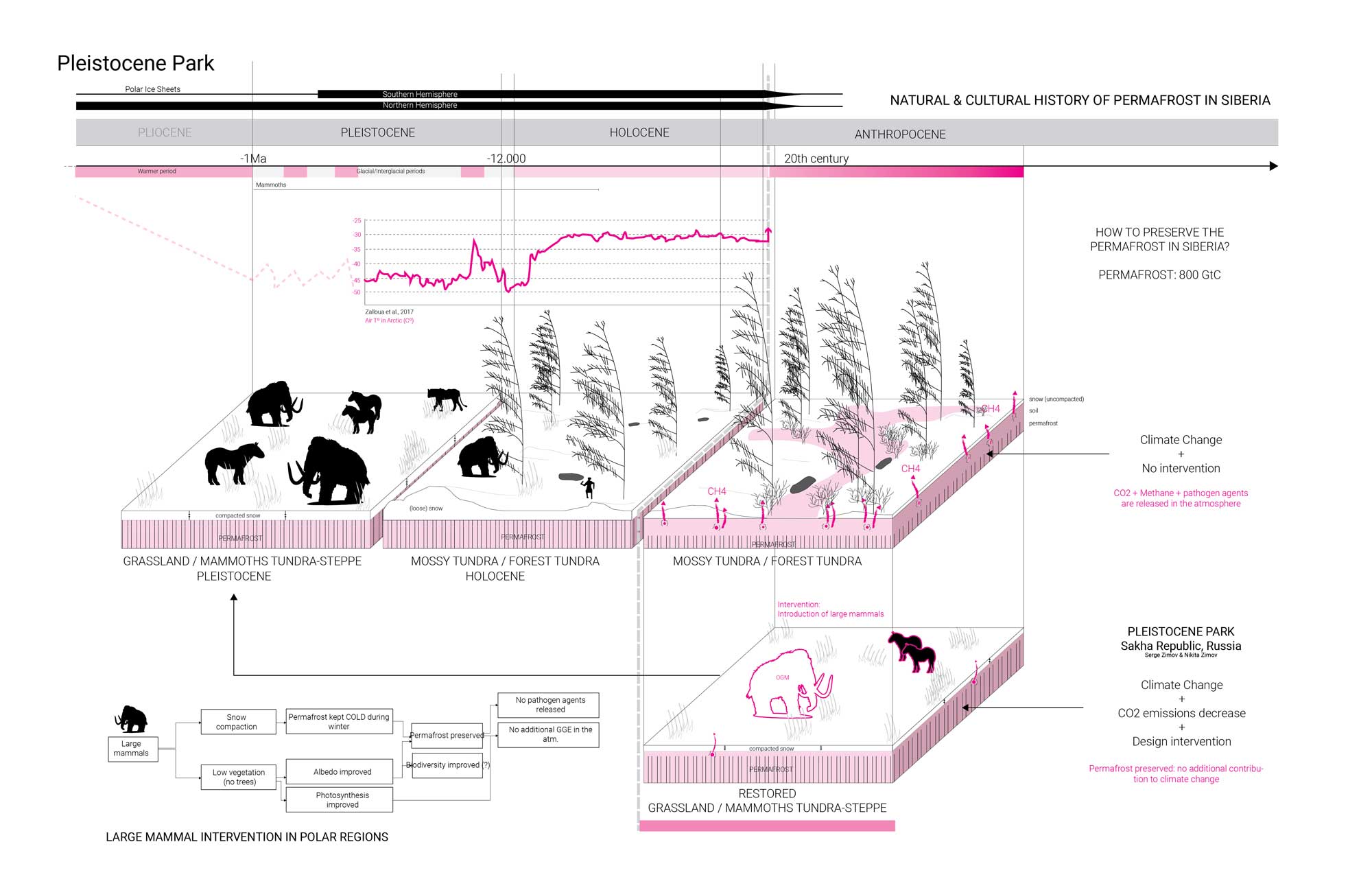 A diagram showing different animals and plants in the Russian tundra and how the environment changed from the Pleistocene era a million years ago to the present.