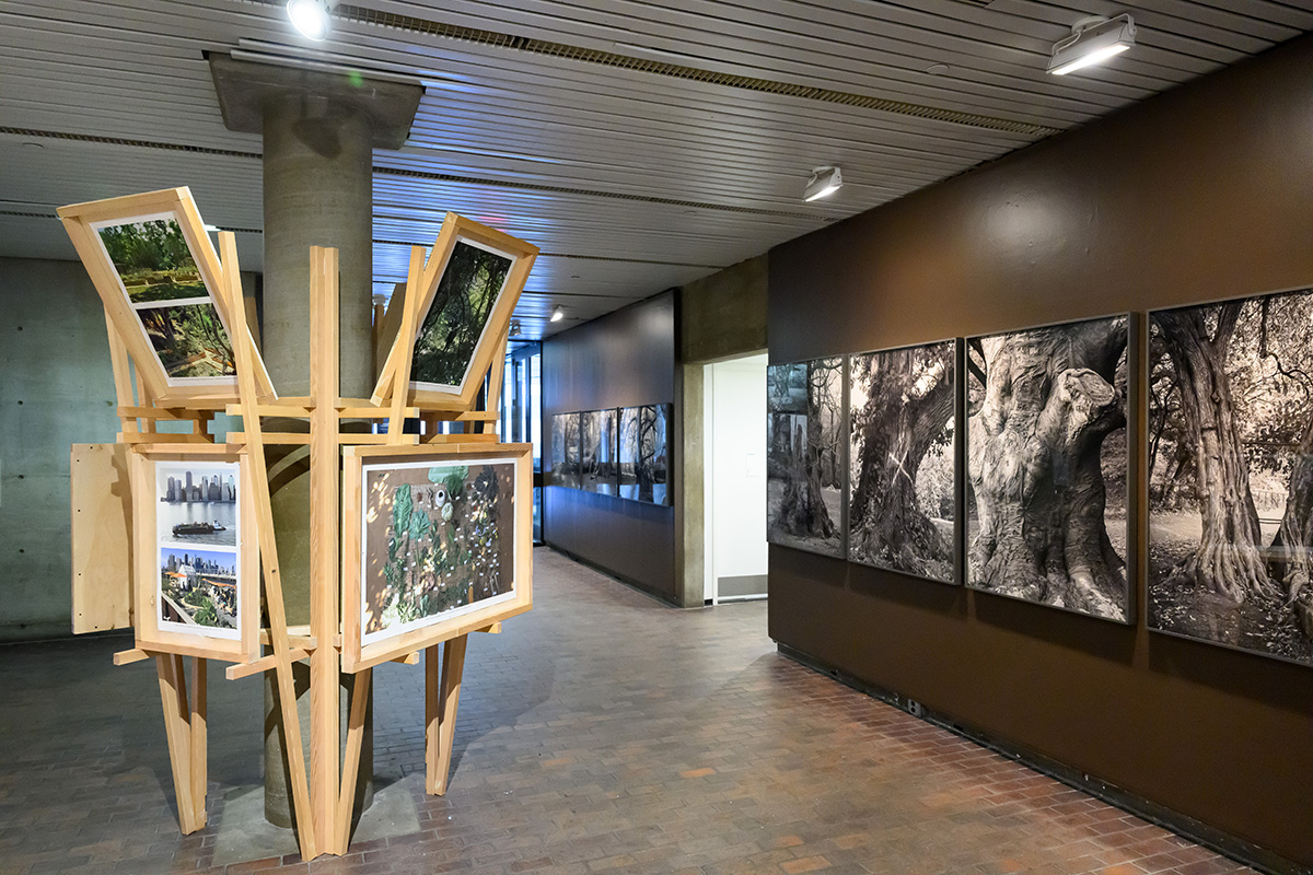 A view inside Druker Design Gallery showing a column with a wooden structure and display panels built around it, and large scale photographs of trees on the wall.
