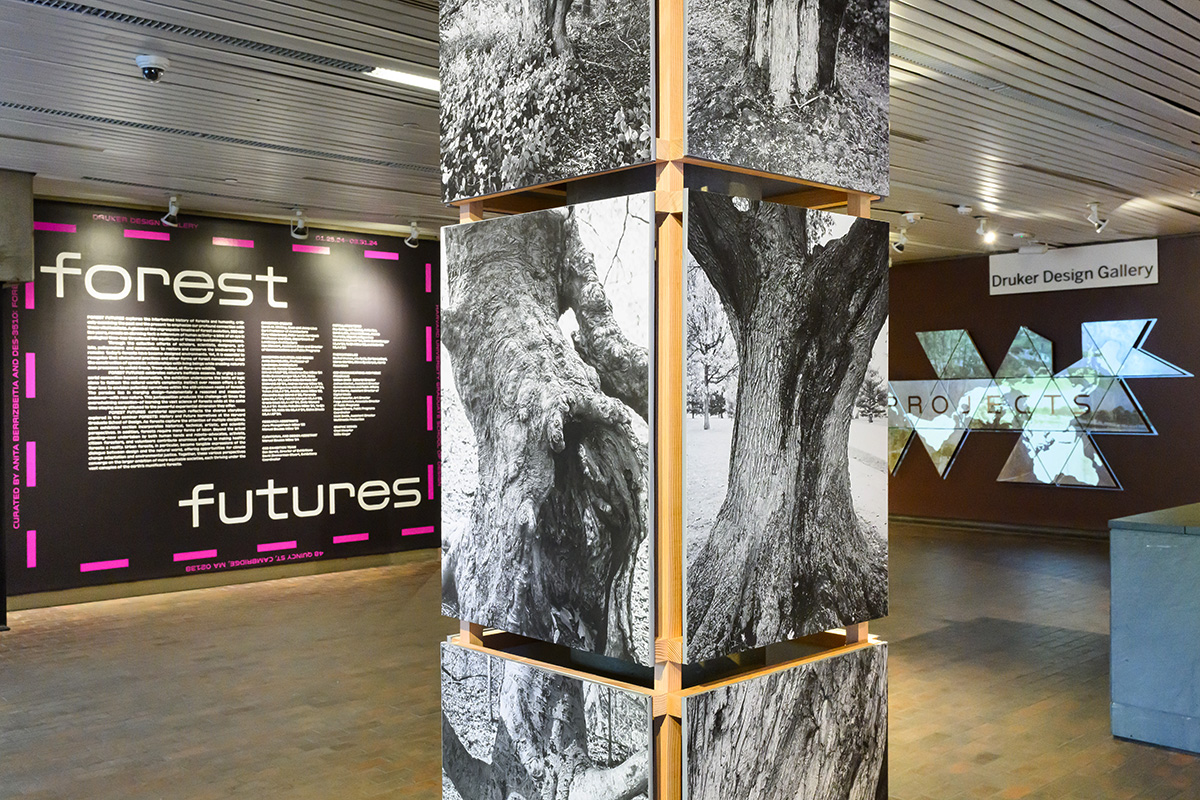 A view of a column in Druker Design Gallery with a rectangular wooden structure built around it with a grid of black and white photos of tree trunks.