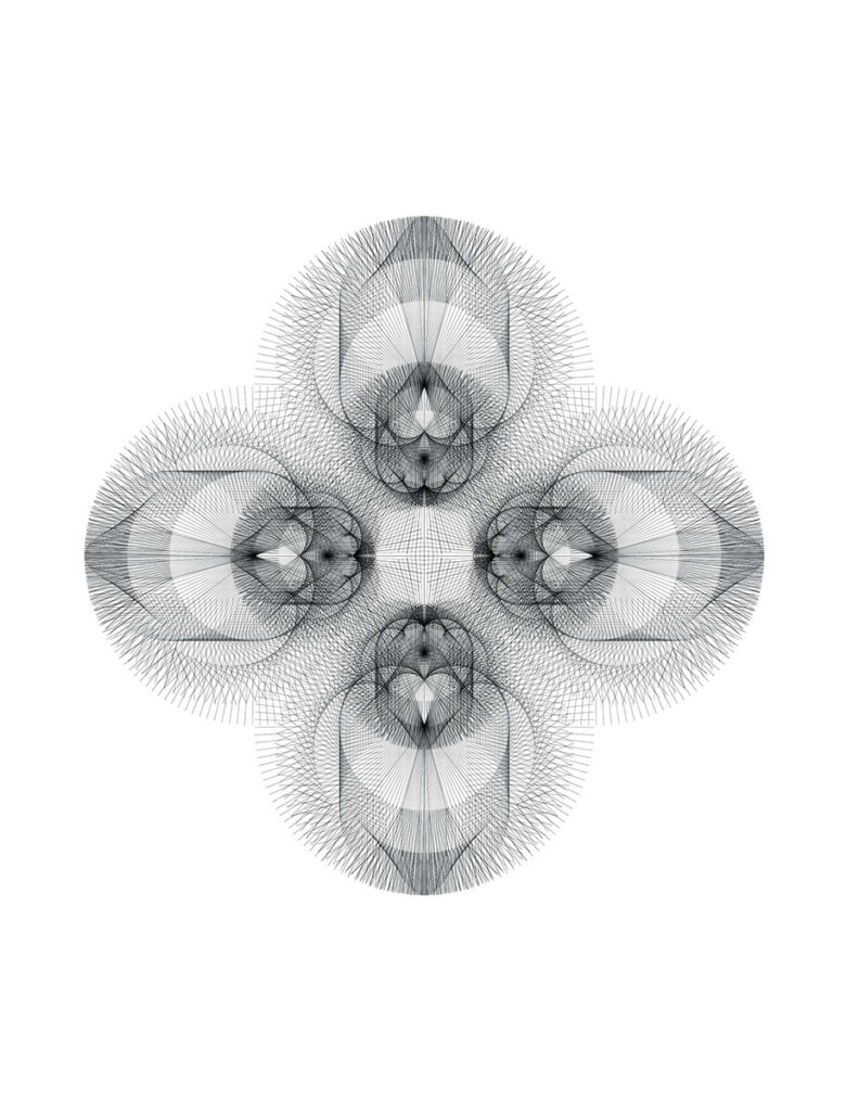 Finely detailed black and white line drawing illustrating the morphogenetic growth and spatial development of the jujube or Chinese date.