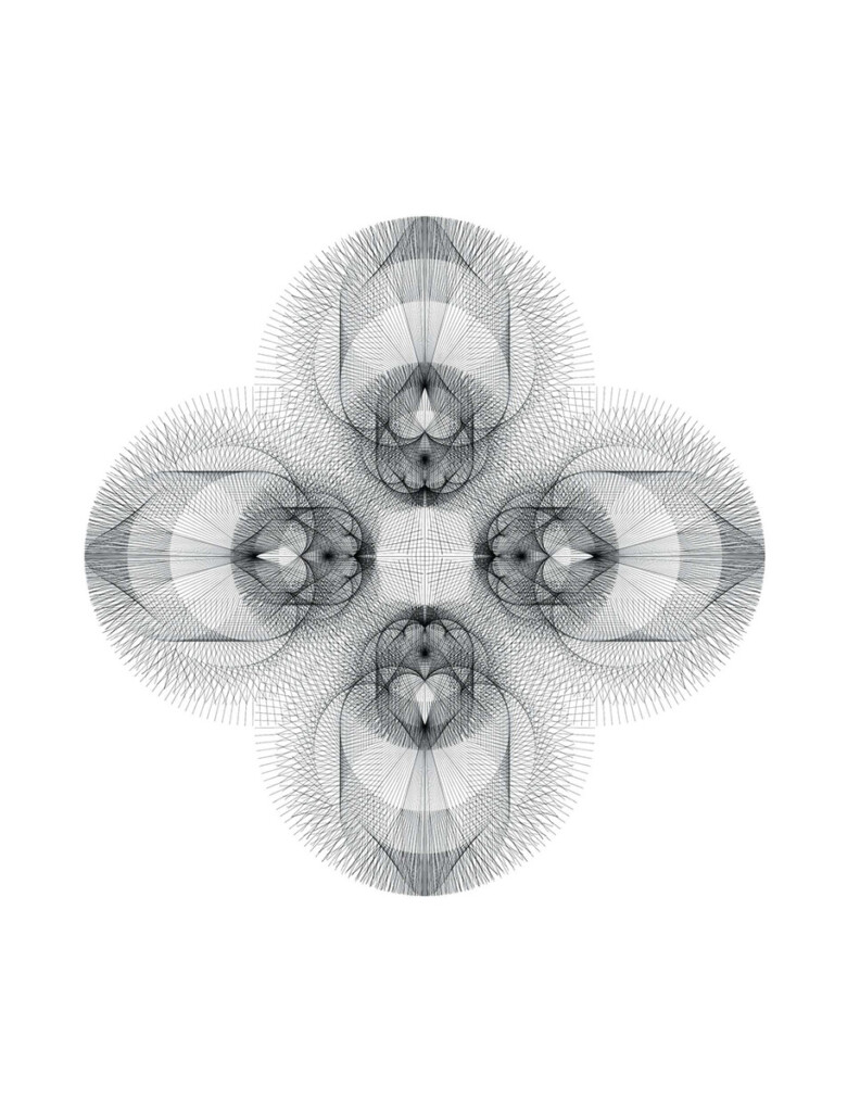 Finely detailed black and white line drawing illustrating the morphogenetic growth and spatial development of the jujube or Chinese date.