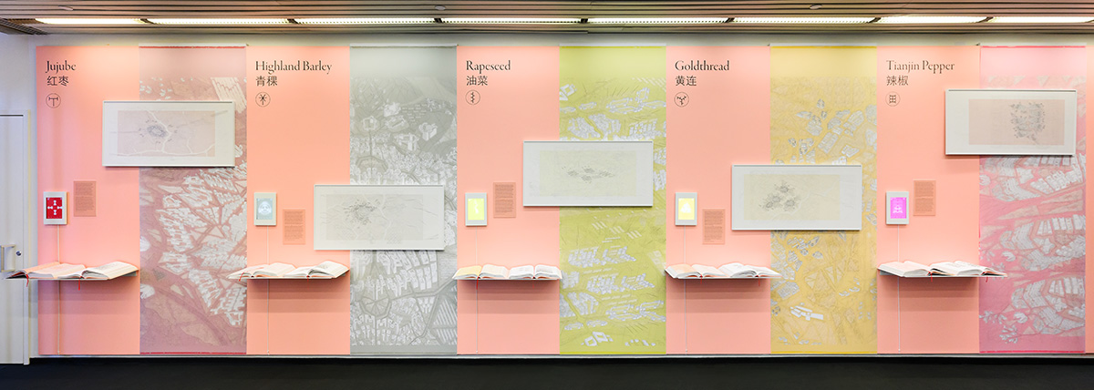 A view of the exhibit showing a long wall with framed drawings and shelves holding open books below them on a pink background.