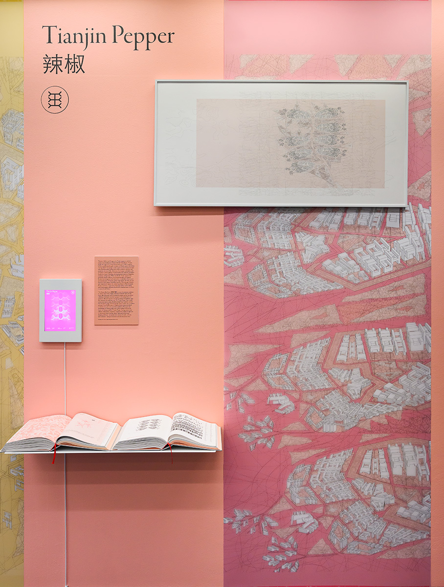 A detail of the exhibit showing a framed drawing, a small video screen, and a text panel on the wall above a shelf with two open books, and under the heading “Tianjin Pepper”