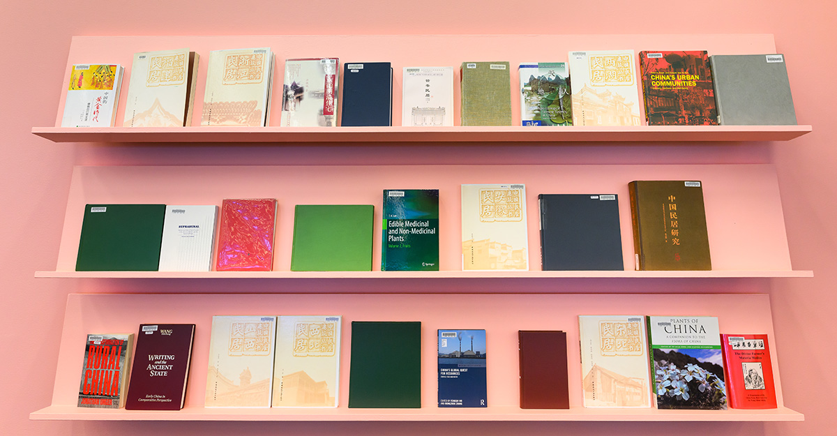 A pink wall with three shelves displaying an assortment of books on China.