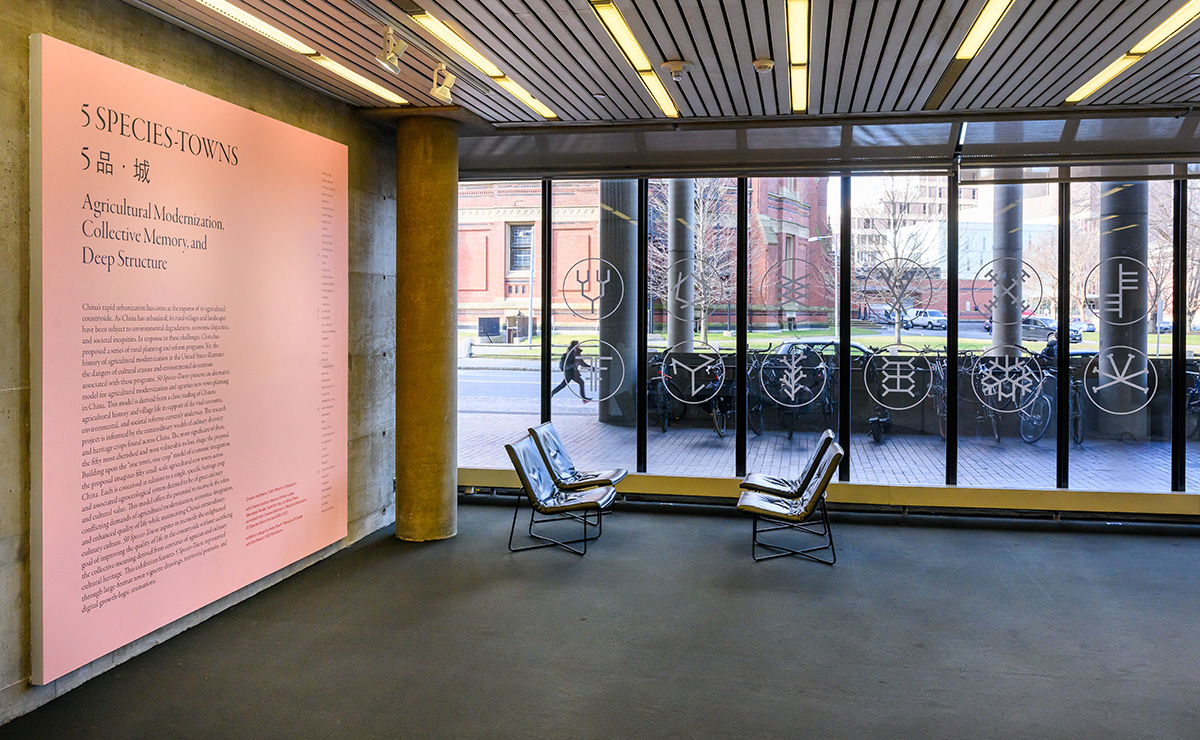 A view of the exhibit in Frances Loeb Library, showing a pink wall with text and windows with decals of various symbols.