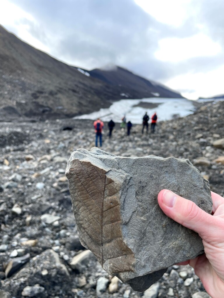 hand holding plant fossil with rocky terrain background
