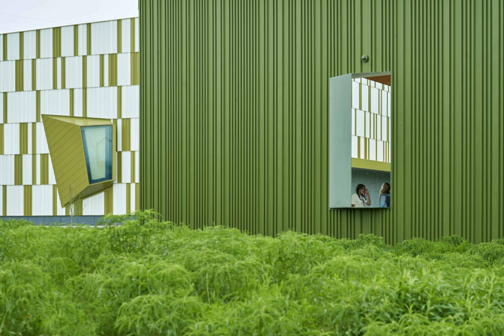 Photo of green building blending into green landscape.