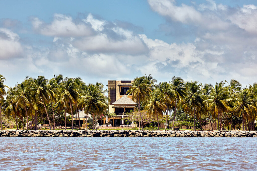 Image of a river bank with palm trees and luxury house.