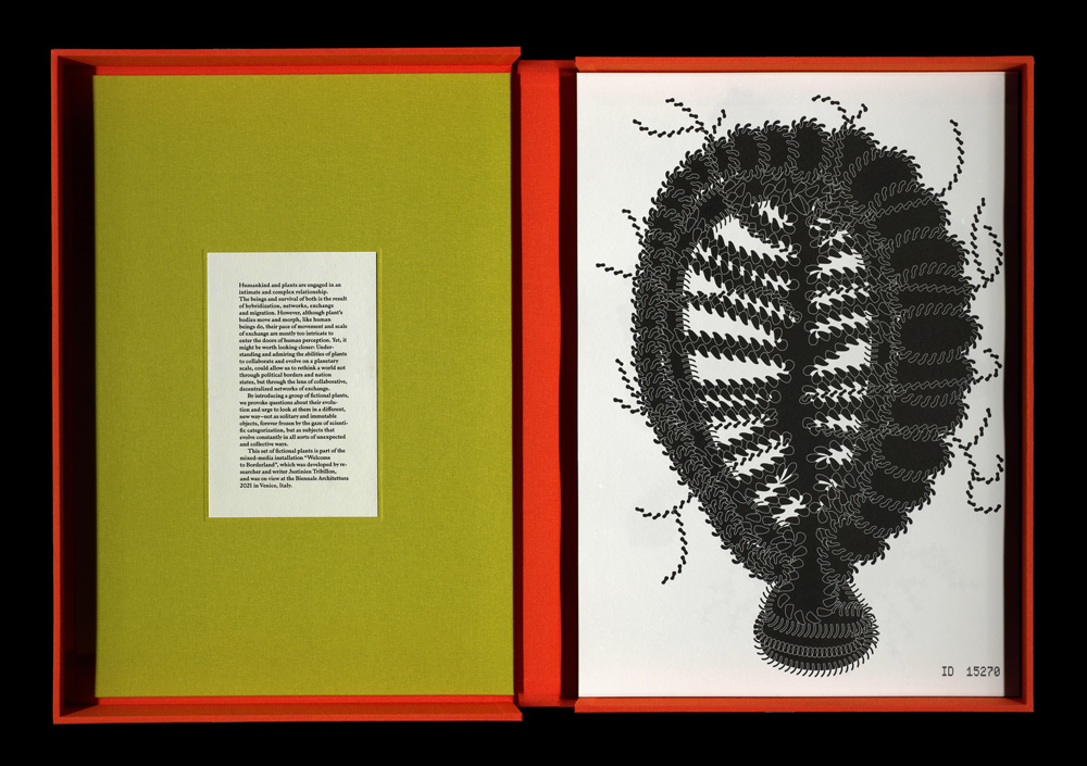 A depiction of a box that is part of Botanical Fictions. The box is open and shows an image in black on white background depicting an organic form resembling a plant. On the left is a short printed text.