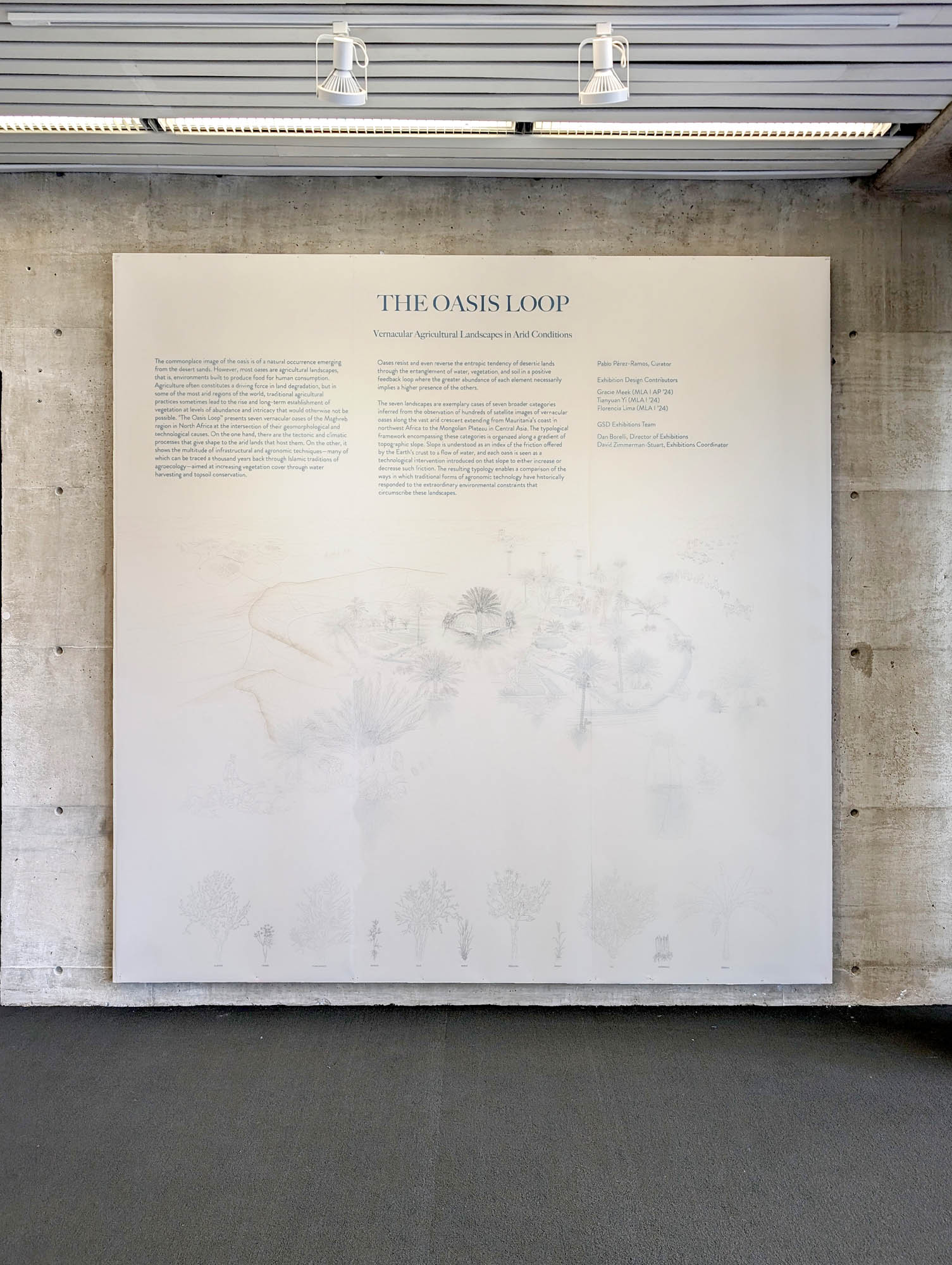 intro wall