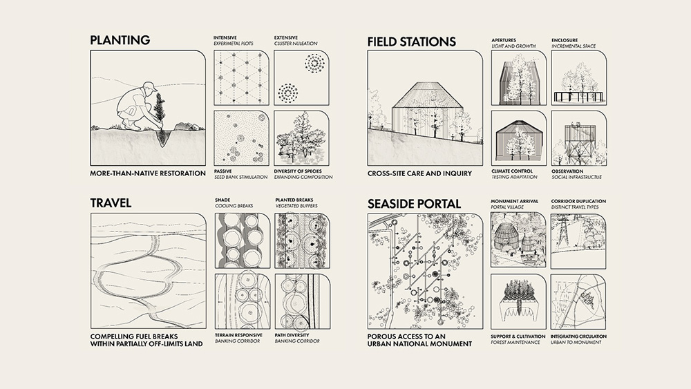 A diagram showing different elements of the landscape project including planting, field stations, seaside portals, and routes for travel.